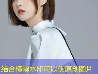柚子猫糖心带你走进八重神子的奇幻日常世界